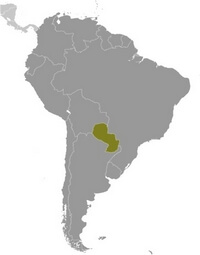 Map Paraguay location