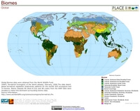 World map biomes