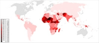 world literacy rate